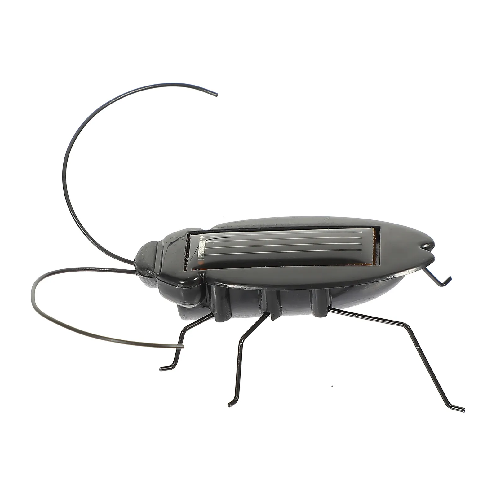 Solar Powered Insect Bug Educational Crawling Vibrating Lifelike Simulation Science Learning Plaything for Kids Kindergarten
Solar Powered Insect Bug Educational Crawling Vibrating Lifelike Simulation Science Learning Plaything for Kids Kindergarten