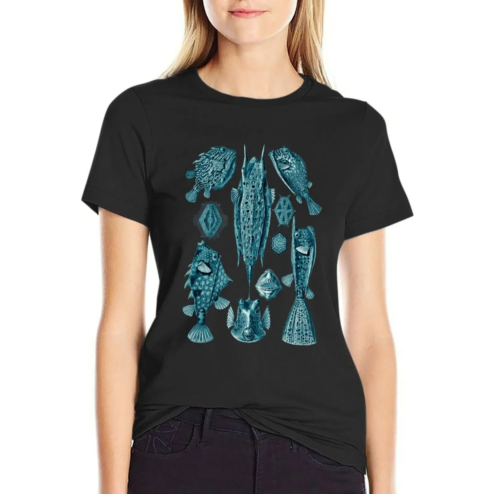Ernst Haeckel Ostraciontes Boxfish Cerulean T-Shirt shirts graphic tees kawaii clothes funny Women clothing
Ernst Haeckel Ostraciontes Boxfish Cerulean T-Shirt shirts graphic tees kawaii clothes funny Women clothing
