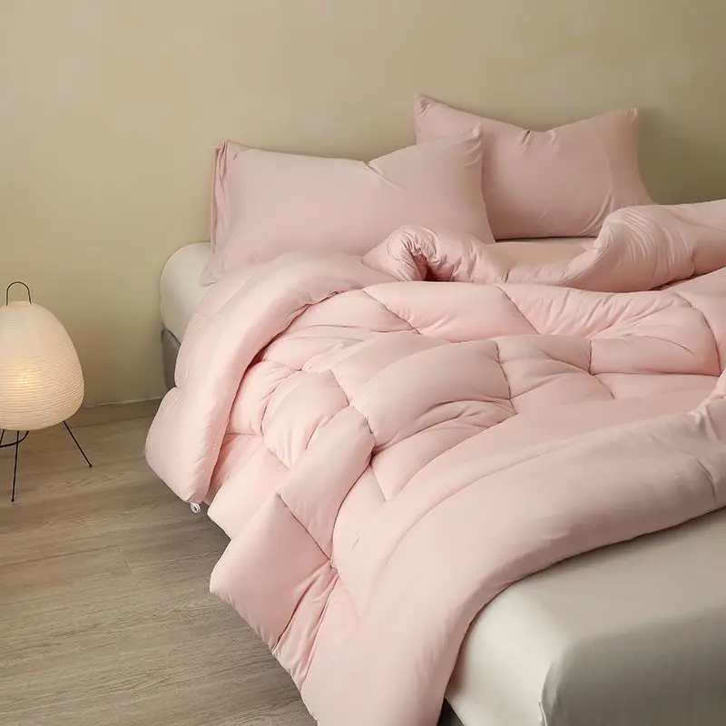 New Solid Color Winter Quilt Warm Black Constant Temperature Quilted Quilt Core Spring and Autumn Thickened Quilt Core
New Solid Color Winter Quilt Warm Black Constant Temperature Quilted Quilt Core Spring and Autumn Thickened Quilt Core