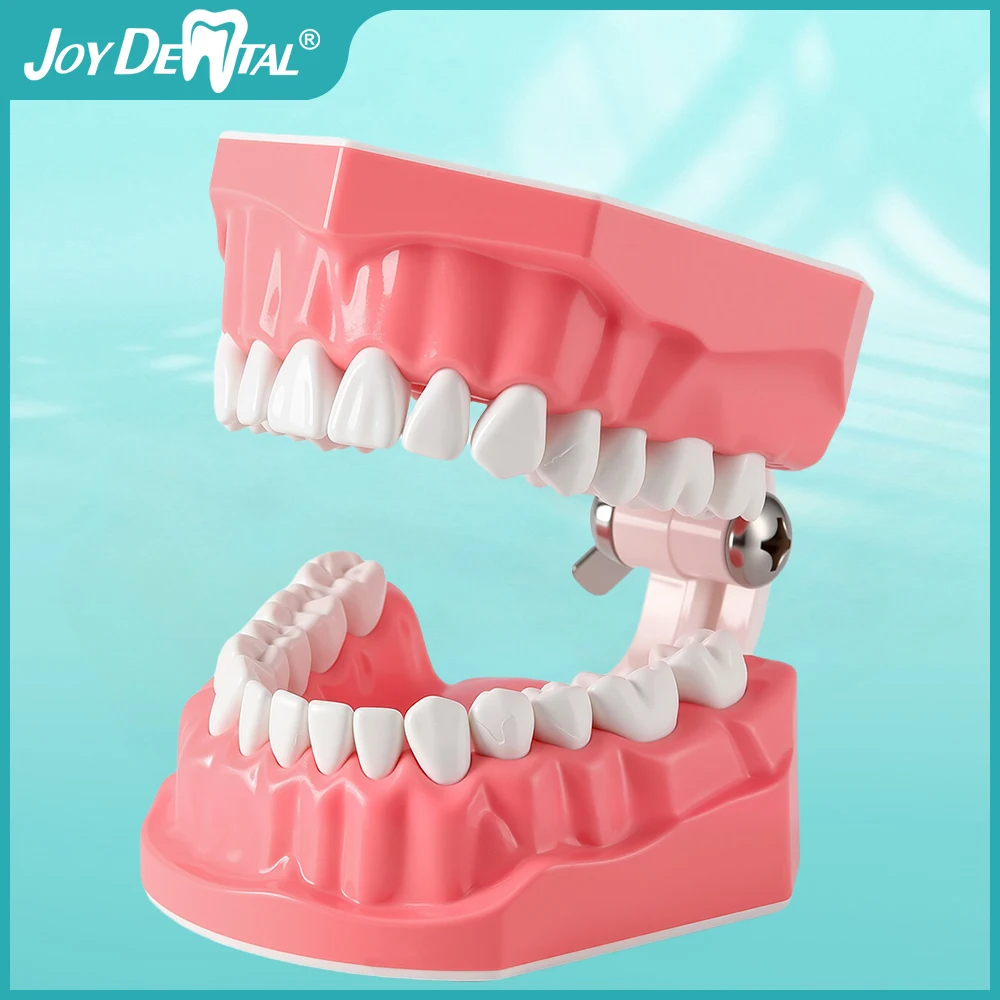 1Pcs Dental Standard 1:1 Teeth Model Brushing Flossing Practice Studying Teaching 2 times Brushing Model Lab Education Studying
1Pcs Dental Standard 1:1 Teeth Model Brushing Flossing Practice Studying Teaching 2 times Brushing Model Lab Education Studying