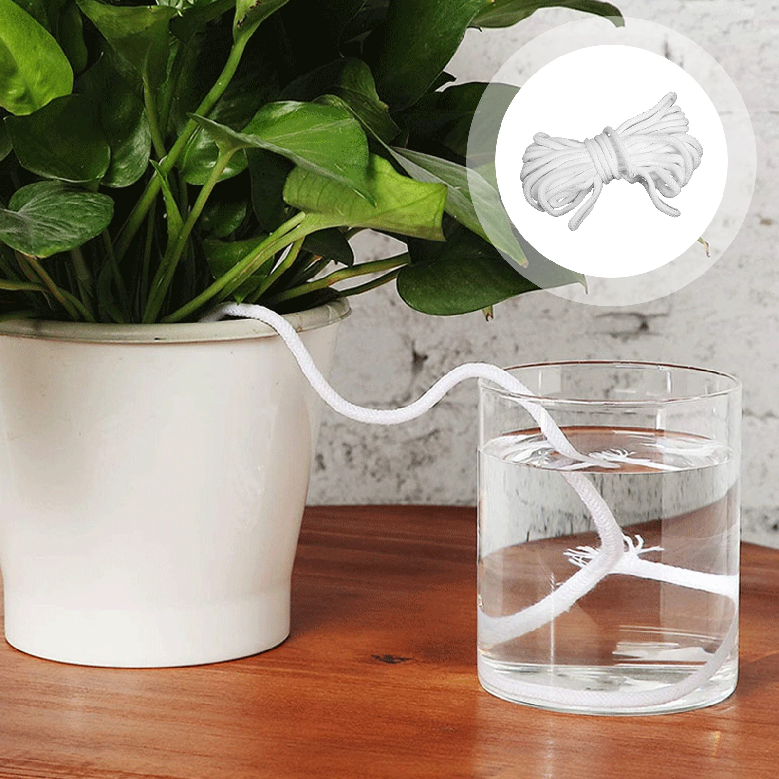 Automatic Cotton Rope Durable Safe Economical Self System Plant Growth Gardening Accessories Flowerpot Cord
Automatic Cotton Rope Durable Safe Economical Self System Plant Growth Gardening Accessories Flowerpot Cord