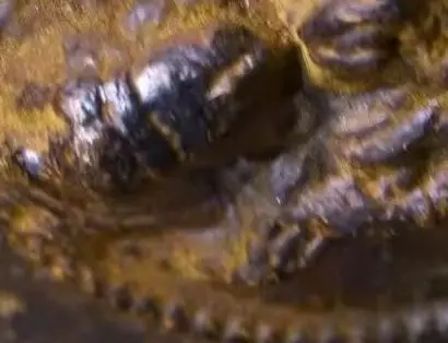 2 "Старая народная коллекция Сицзян, старая бронза, киноварь, четырехугольная карта Будды Гуаньинь, кулон, амулет, Дхарма, городской дом, экзорцизм
2 "Старая народная коллекция Сицзян, старая бронза, киноварь, четырехугольная карта Будды Гуаньинь, кулон, амулет, Дхарма, городской дом, экзорцизм