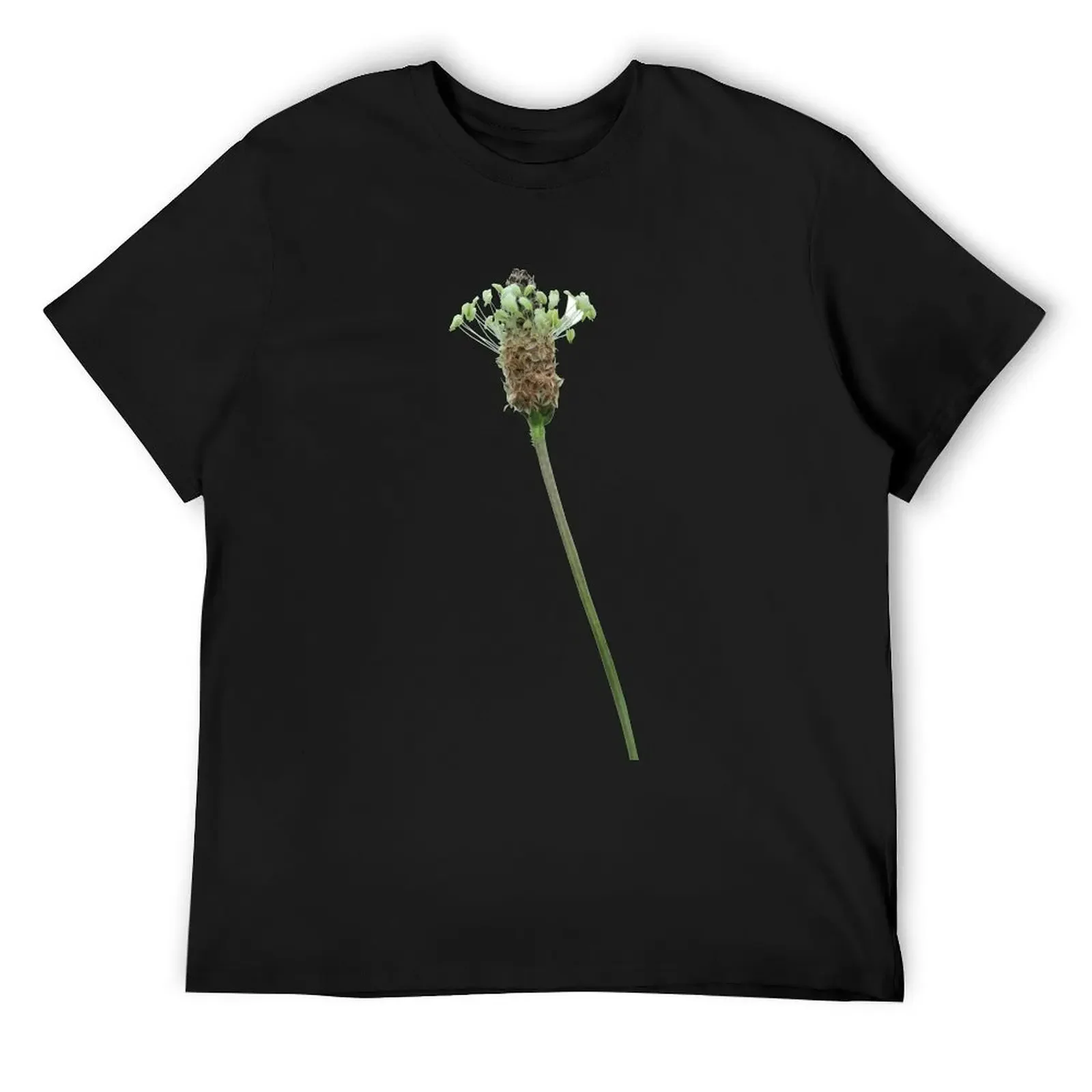 Ribwort Plantain Flower T-Shirt Aesthetic clothing vintage clothes sweat vintage t shirt men
Ribwort Plantain Flower T-Shirt Aesthetic clothing vintage clothes sweat vintage t shirt men