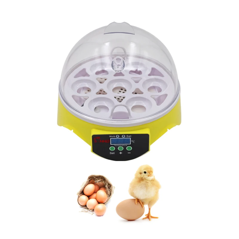 Automatic Poultry Mini 7 Egg Incubator Chicken Incubators Hatching Eggs Mini Incubator Machine
Automatic Poultry Mini 7 Egg Incubator Chicken Incubators Hatching Eggs Mini Incubator Machine