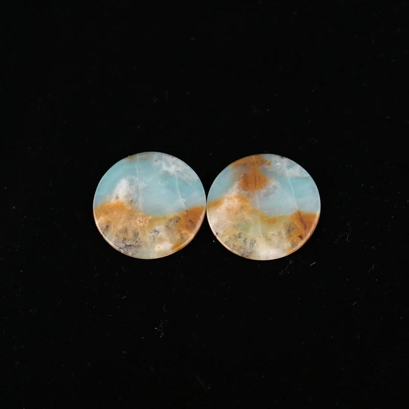 Natural Amazonite round Disc Earrings Beads for DIY Jewelry Making Gemstone Earrings Jewelry Accessories
Natural Amazonite round Disc Earrings Beads for DIY Jewelry Making Gemstone Earrings Jewelry Accessories
