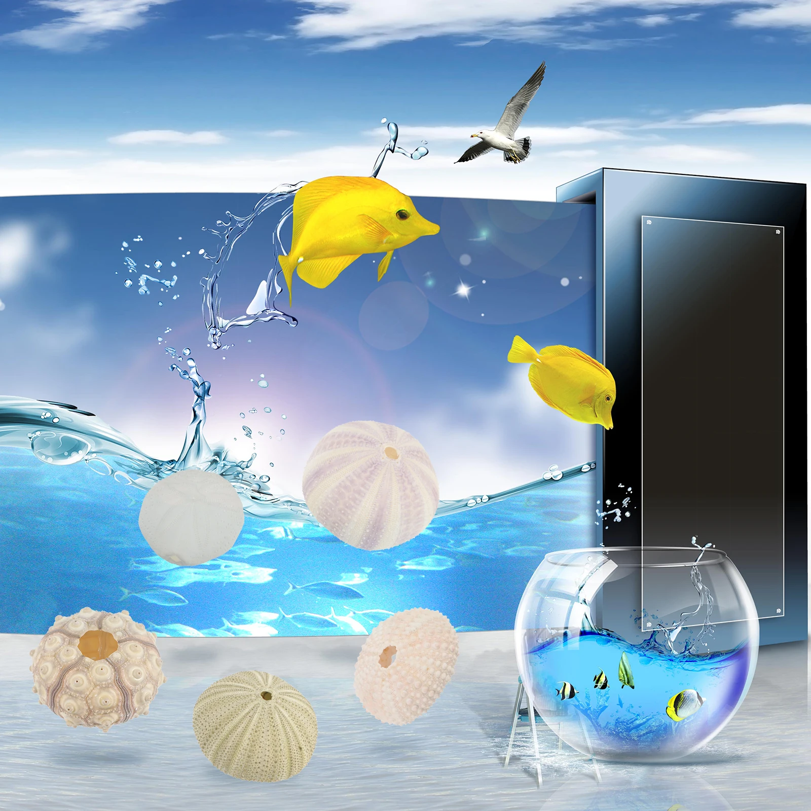 5pcs Sea Shells Home Decoration for Fish Tank Aquarium Small Large Safe Durable SmoothEdges Natural Scenery Pet Supplies
5pcs Sea Shells Home Decoration for Fish Tank Aquarium Small Large Safe Durable SmoothEdges Natural Scenery Pet Supplies