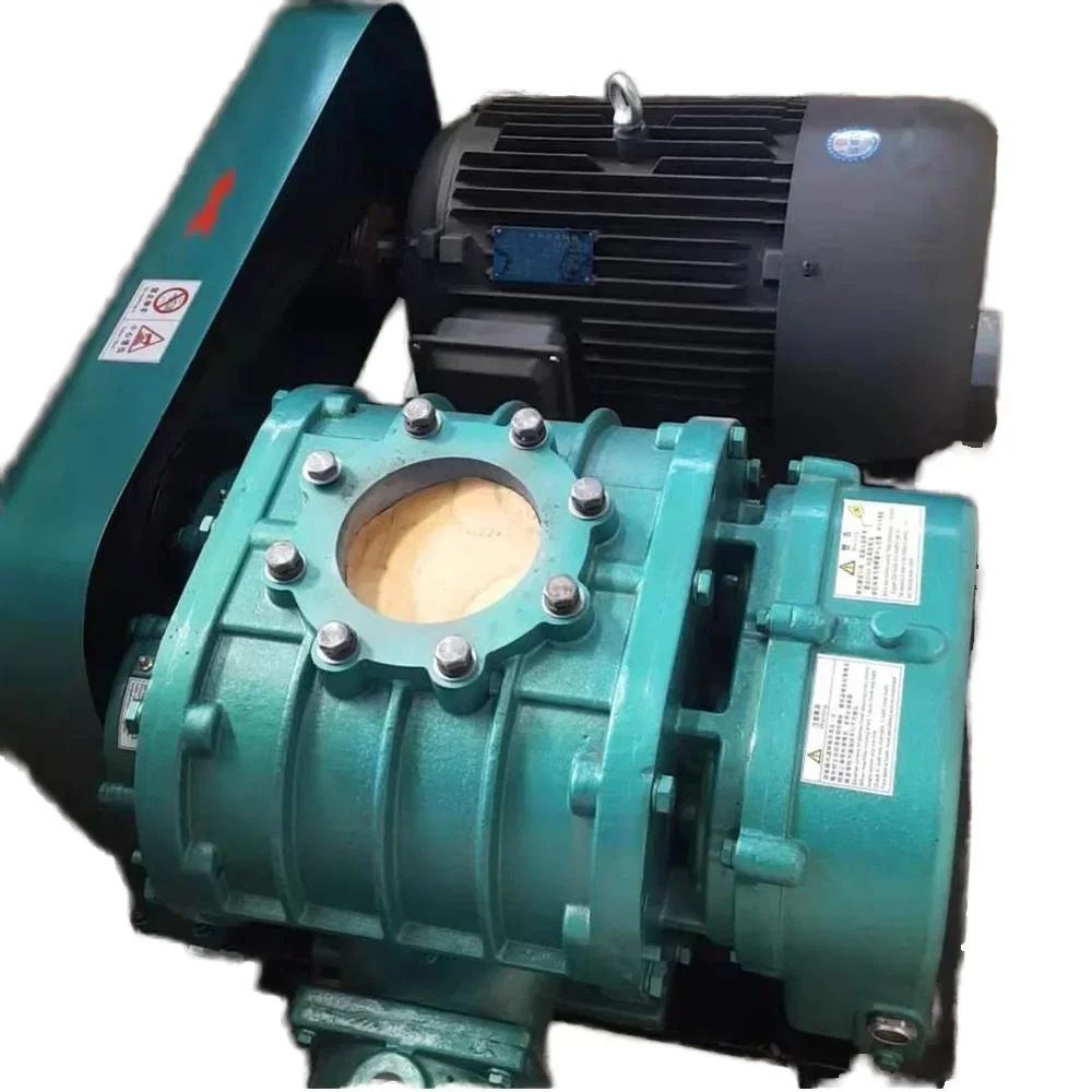 High Pressure 7.5kw Model 150 Three Lobe Roots Electric Blower Inflatable Blower with High Power Source
High Pressure 7.5kw Model 150 Three Lobe Roots Electric Blower Inflatable Blower with High Power Source
