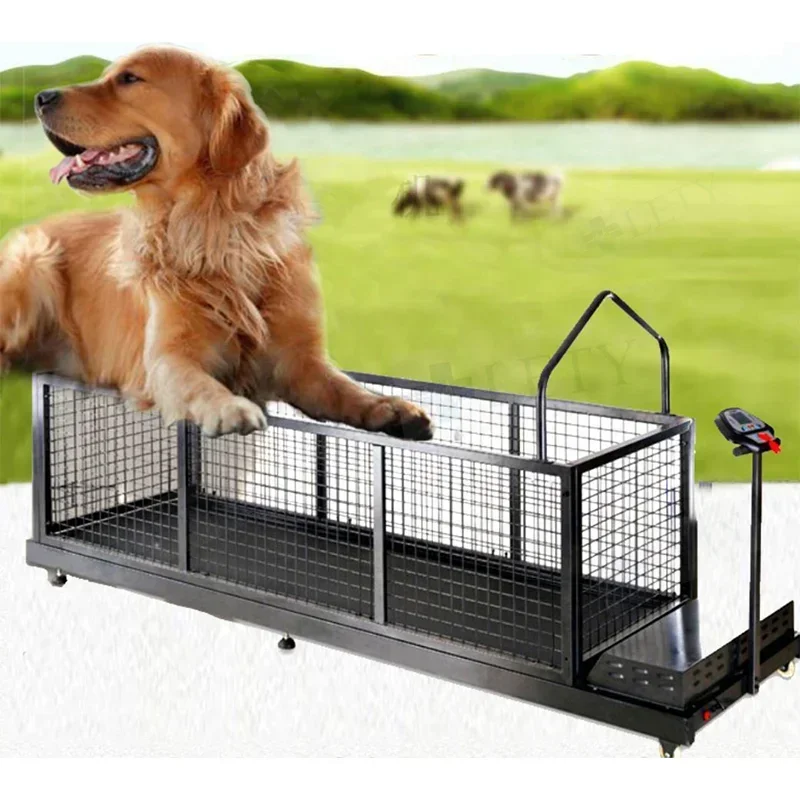 Pet Treadmill Electric Big Dog Treadmill dog training equipment For Pet training and rehabilitation
Pet Treadmill Electric Big Dog Treadmill dog training equipment For Pet training and rehabilitation