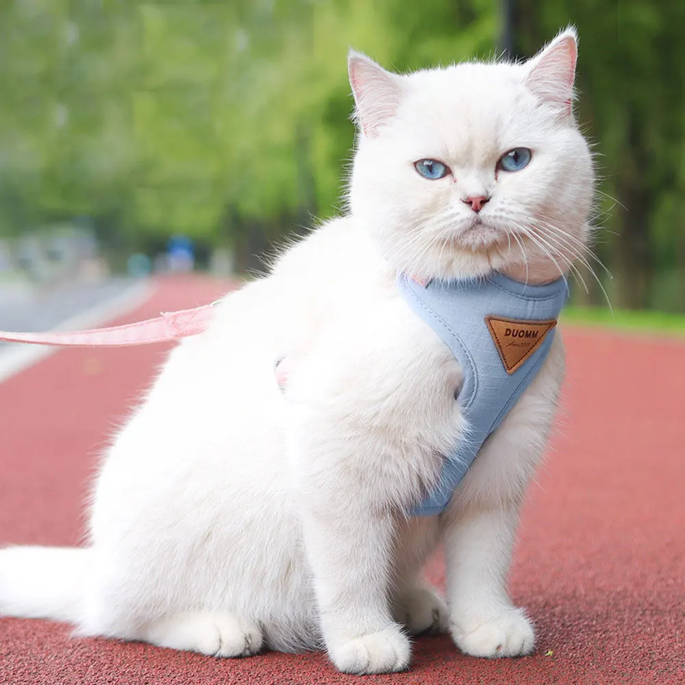 Cat Harness and Leash for Walking, Escape Proof, Soft Adjustable Vest, Harnesses for Cat and Dog, Easy Control, Breathable Jacke
Cat Harness and Leash for Walking, Escape Proof, Soft Adjustable Vest, Harnesses for Cat and Dog, Easy Control, Breathable Jacke