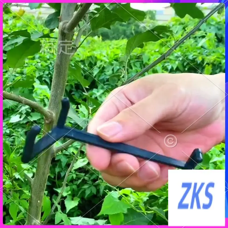 ZZ-Branch Spreaders Plant Stem Traine Fruit Tree Branch Puller Tying Machine Farm Tools New Plum Tree Open Angle Pull
ZZ-Branch Spreaders Plant Stem Traine Fruit Tree Branch Puller Tying Machine Farm Tools New Plum Tree Open Angle Pull