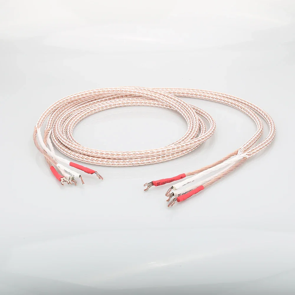 1 пара Hi-End 12TC OCC акустический провод Hi-Fi акустический кабель 2–2 Y лопаточный штекерный кабель
1 пара Hi-End 12TC OCC акустический провод Hi-Fi акустический кабель 2–2 Y лопаточный штекерный кабель