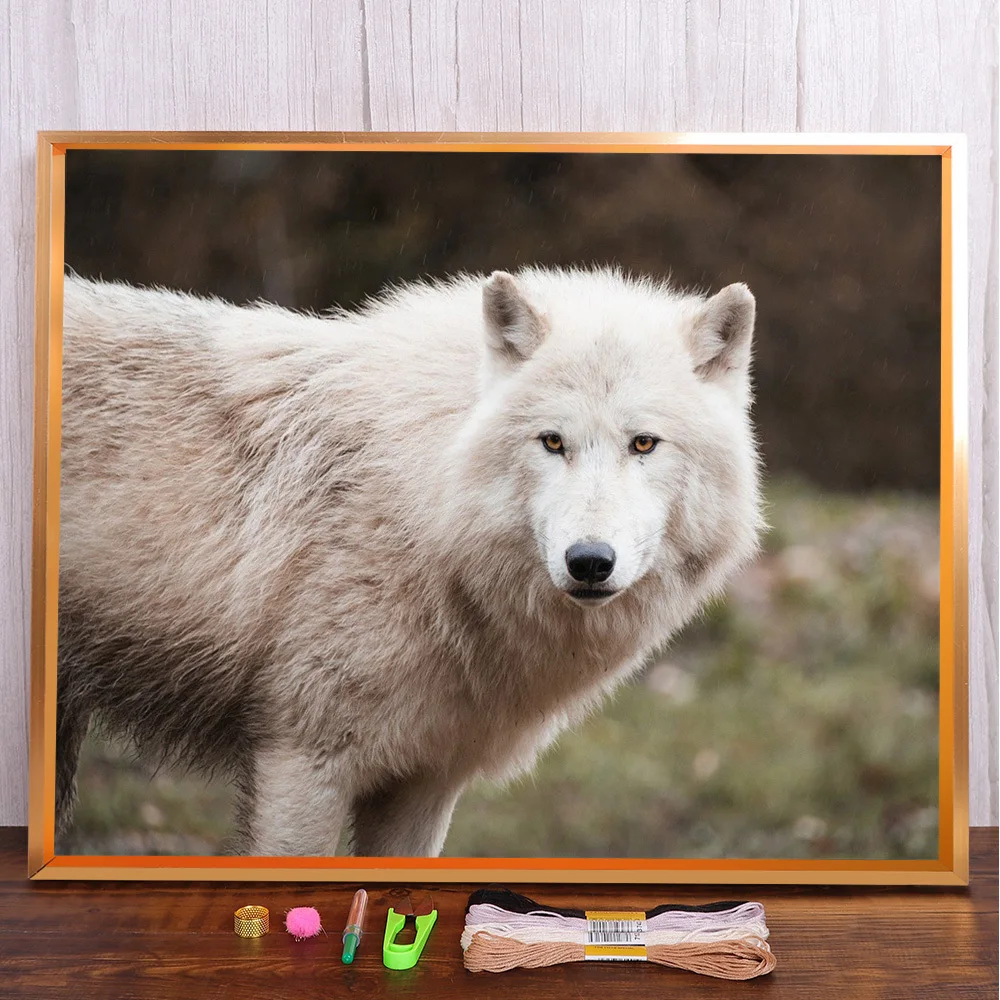 Animal White Wolf Printed Fabric Cross-Stitch Kit DIY Embroidery Craft Knitting Painting Handiwork Mulina Different Room Decor
Animal White Wolf Printed Fabric Cross-Stitch Kit DIY Embroidery Craft Knitting Painting Handiwork Mulina Different Room Decor