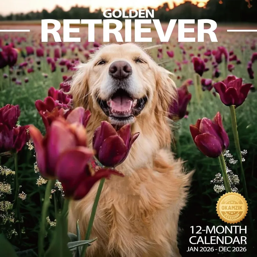 2026 Wall Calendar Golden Retriever Planner Calendar Hangable Monthly Wall Calendar with Large Blocks for Organizing and Planni
2026 Wall Calendar Golden Retriever Planner Calendar Hangable Monthly Wall Calendar with Large Blocks for Organizing and Planni