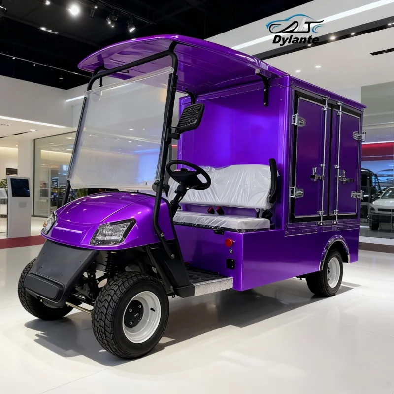 Новая индивидуальная клубная машина, электрическая тележка для гольфа, электрическая четырехколесная складная грузовая тележка для взрослых Ranch с задним грузовым ящиком
Новая индивидуальная клубная машина, электрическая тележка для гольфа, электрическая четырехколесная складная грузовая тележка для взрослых Ranch с задним грузовым ящиком