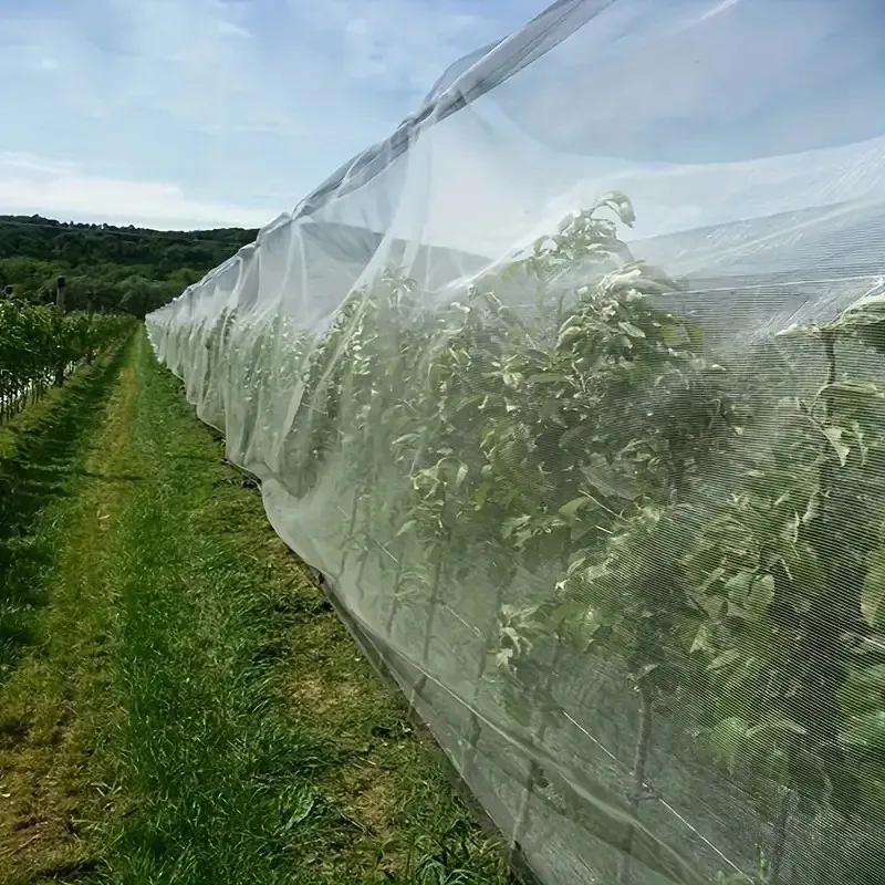 60 Mesh Durable Insect Net, Prevents Pests and Birds, Used as a Barrier Net for Greenhouses and Vegetables, Gardens and Farmland, and as a Garden Net for Plant Protection
60 Mesh Durable Insect Net, Prevents Pests and Birds, Used as a Barrier Net for Greenhouses and Vegetables, Gardens and Farmland, and as a Garden Net for Plant Protection