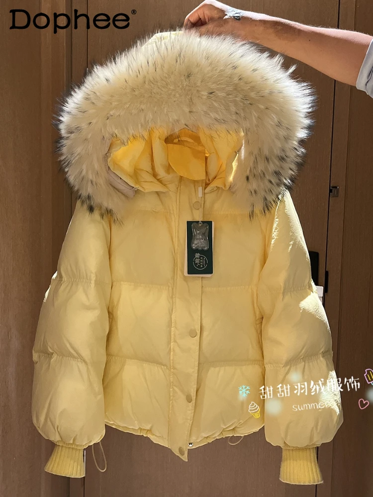Genuine Fur Collar Knitted Stitching Long-Sleeved Warm Coat for Women 2023 Fall Winter New Hooded Short Down Jacket Female
Genuine Fur Collar Knitted Stitching Long-Sleeved Warm Coat for Women 2023 Fall Winter New Hooded Short Down Jacket Female