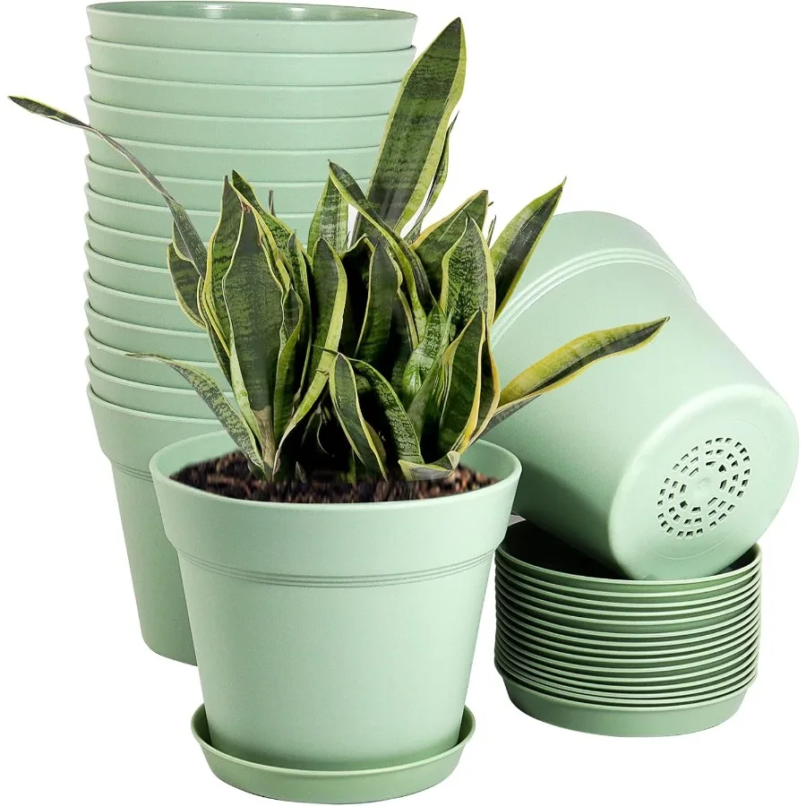 16 Pack 6 inch Plastic Planters Plastic Indoor Planter Flower Pots Heavy Duty and Stylish 6 Inch Plant Pots for Indoor Plants w
16 Pack 6 inch Plastic Planters Plastic Indoor Planter Flower Pots Heavy Duty and Stylish 6 Inch Plant Pots for Indoor Plants w
