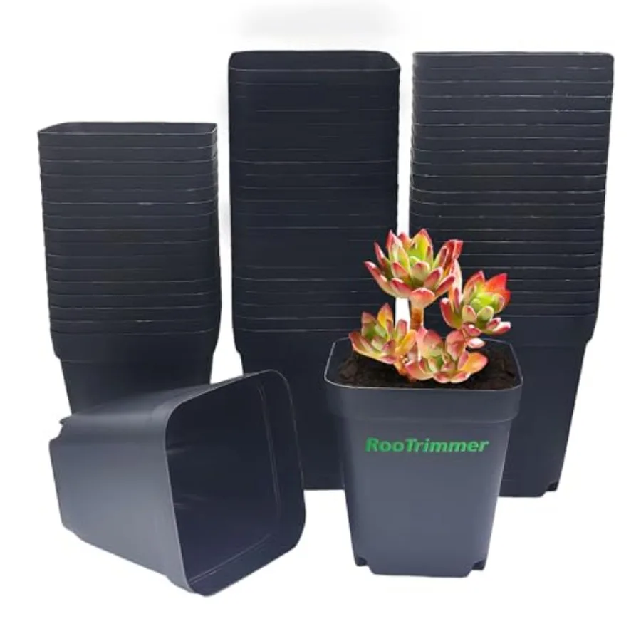 Square Nursery pots 60Pcs, Seedling Plastic Seeds propogation Growing Pots,, 60Pcs
Square Nursery pots 60Pcs, Seedling Plastic Seeds propogation Growing Pots,, 60Pcs