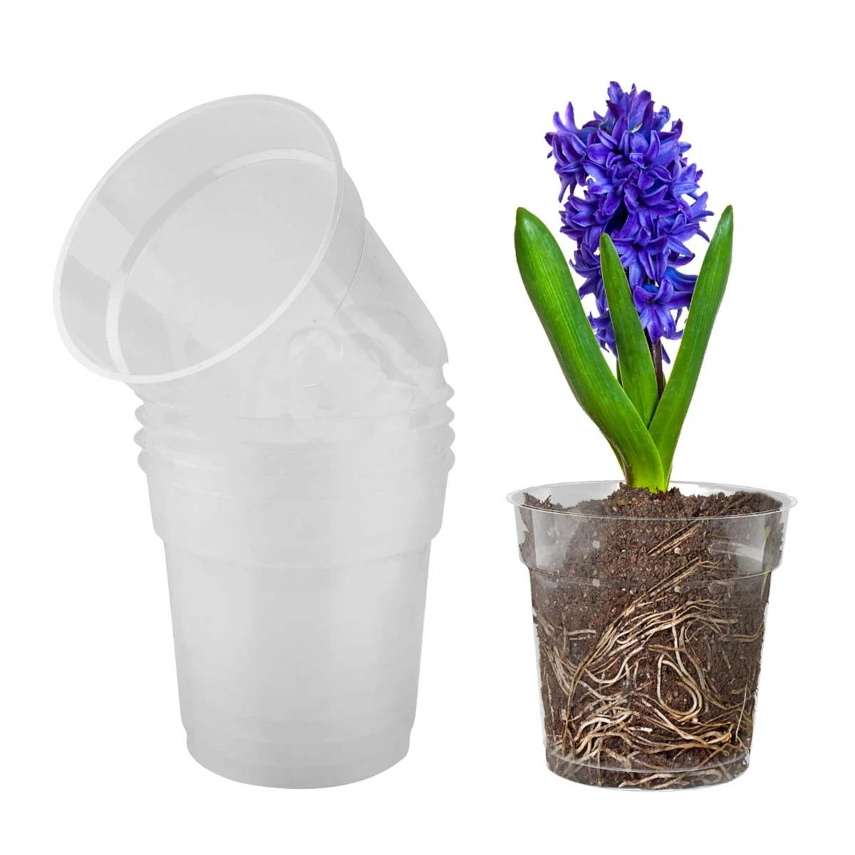 5 Pcs Transparent Plastic Plant Pots Hard Clear Flower Pots Transparent Plastic Pot Orchids with Drainage Holes Orchids
5 Pcs Transparent Plastic Plant Pots Hard Clear Flower Pots Transparent Plastic Pot Orchids with Drainage Holes Orchids