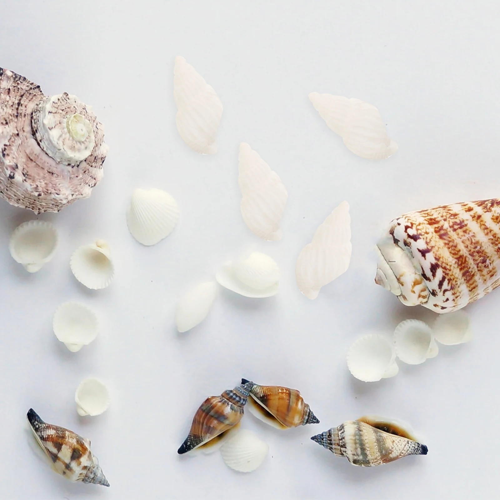 100pcs Shells Sea Shell Seashells Decor Conch Mini Conches Wedding Crafts Ornaments Home Natural Table Beach Decorating Ocean
100pcs Shells Sea Shell Seashells Decor Conch Mini Conches Wedding Crafts Ornaments Home Natural Table Beach Decorating Ocean