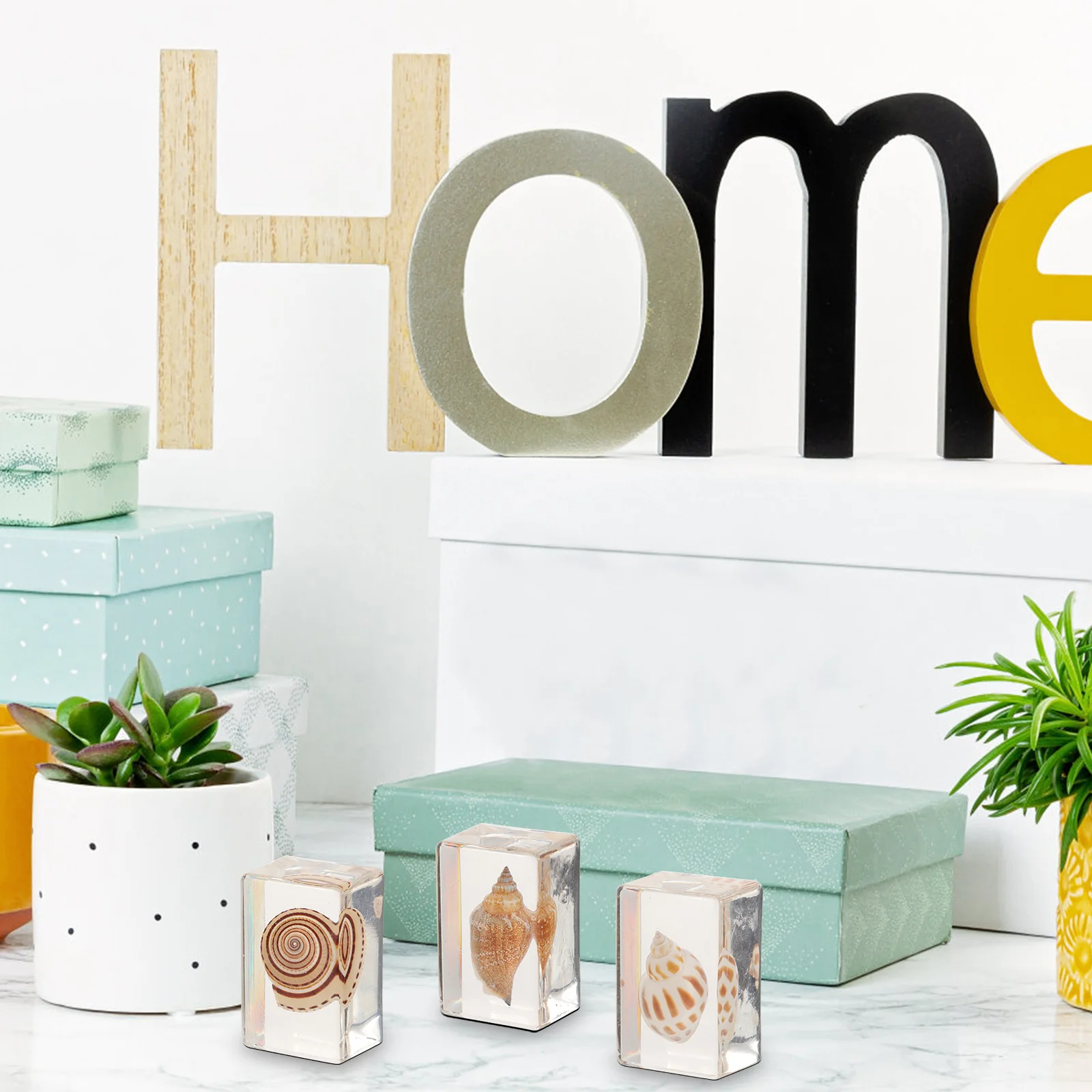 6Pcs Resin Seashell Paperweight Desktop Decor Biological Specimens Durable Resin Ornament Indoor Small Shells Display Collection
6Pcs Resin Seashell Paperweight Desktop Decor Biological Specimens Durable Resin Ornament Indoor Small Shells Display Collection