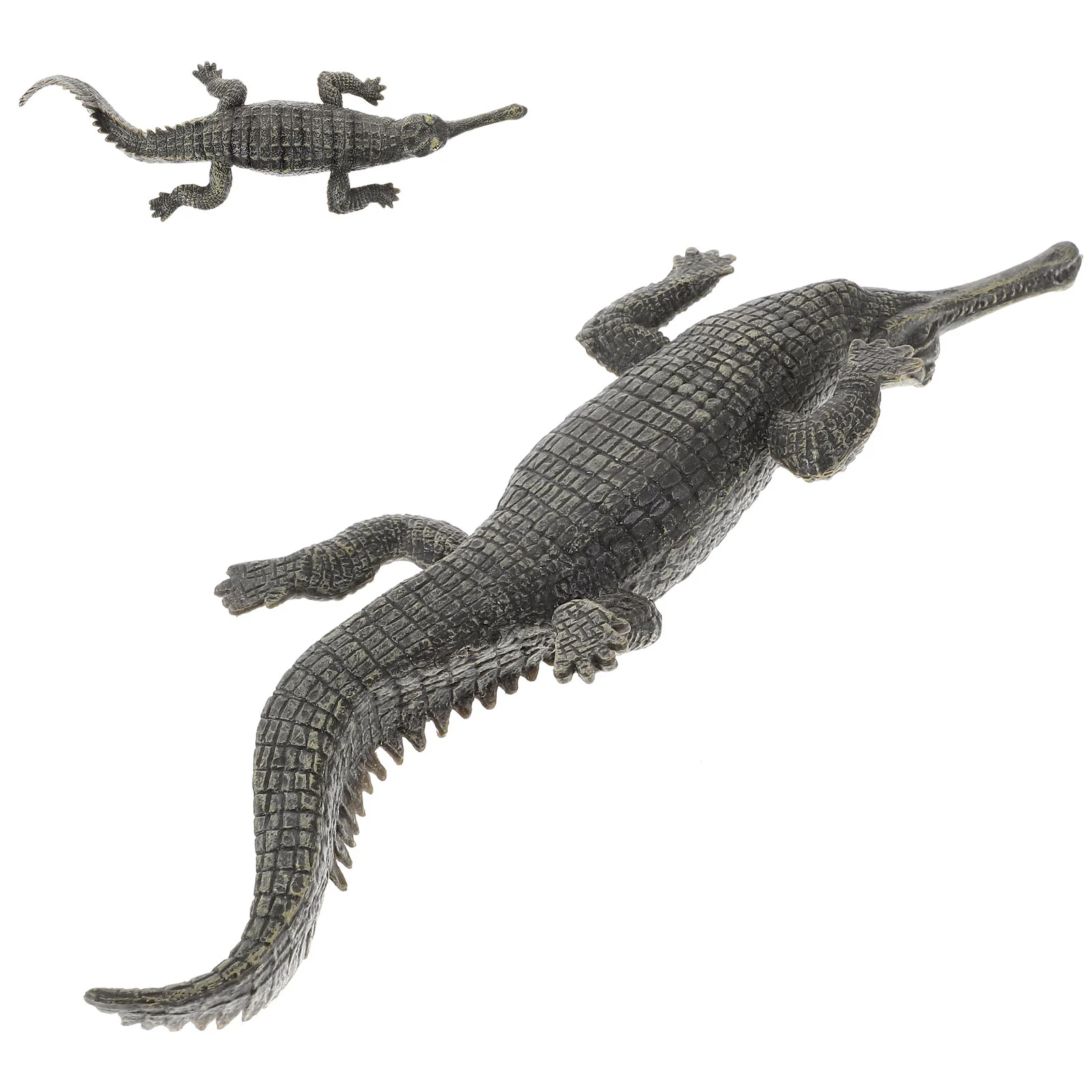 Simulation Model Plastic Model Simulation Animal Educational Model Simulated Model
Simulation Model Plastic Model Simulation Animal Educational Model Simulated Model