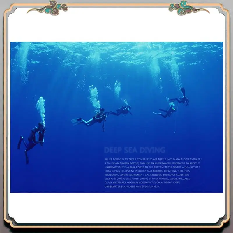 Durable Submersible Breathing Regulator Two-Stage Head Regulator Pressure Reducing Valve Regulators Respirator Diving Supplies
Durable Submersible Breathing Regulator Two-Stage Head Regulator Pressure Reducing Valve Regulators Respirator Diving Supplies