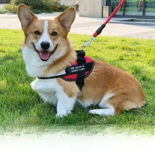 Dog Leash Harness Vest Style Walking Rope for Small Medium Dogs like Corgi French Bulldog Terrier Non-Slip Comfortable
Dog Leash Harness Vest Style Walking Rope for Small Medium Dogs like Corgi French Bulldog Terrier Non-Slip Comfortable