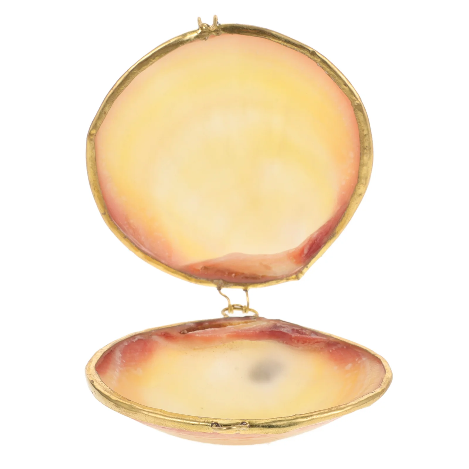 Shell Shaped Box Organizer Storage For Necklaces Bracelets Earrings Trinkets Desktop Home Dorm Decorative Display Jewelry Holder 
Shell Shaped Box Organizer Storage For Necklaces Bracelets Earrings Trinkets Desktop Home Dorm Decorative Display Jewelry Holder