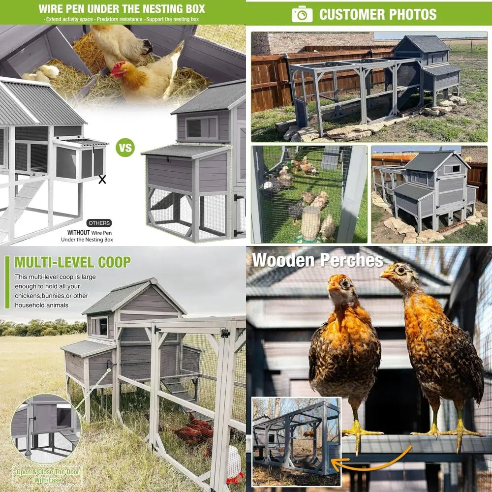 Large Outdoor Chicken Coop with Run and Nesting Box for 8-10 Hens
Large Outdoor Chicken Coop with Run and Nesting Box for 8-10 Hens