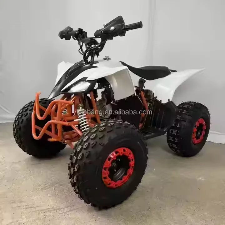 125cc 4-Stroke 1-Cylinder Air-Cooled ATV with Automatic Chain Drive Transmission
125cc 4-Stroke 1-Cylinder Air-Cooled ATV with Automatic Chain Drive Transmission