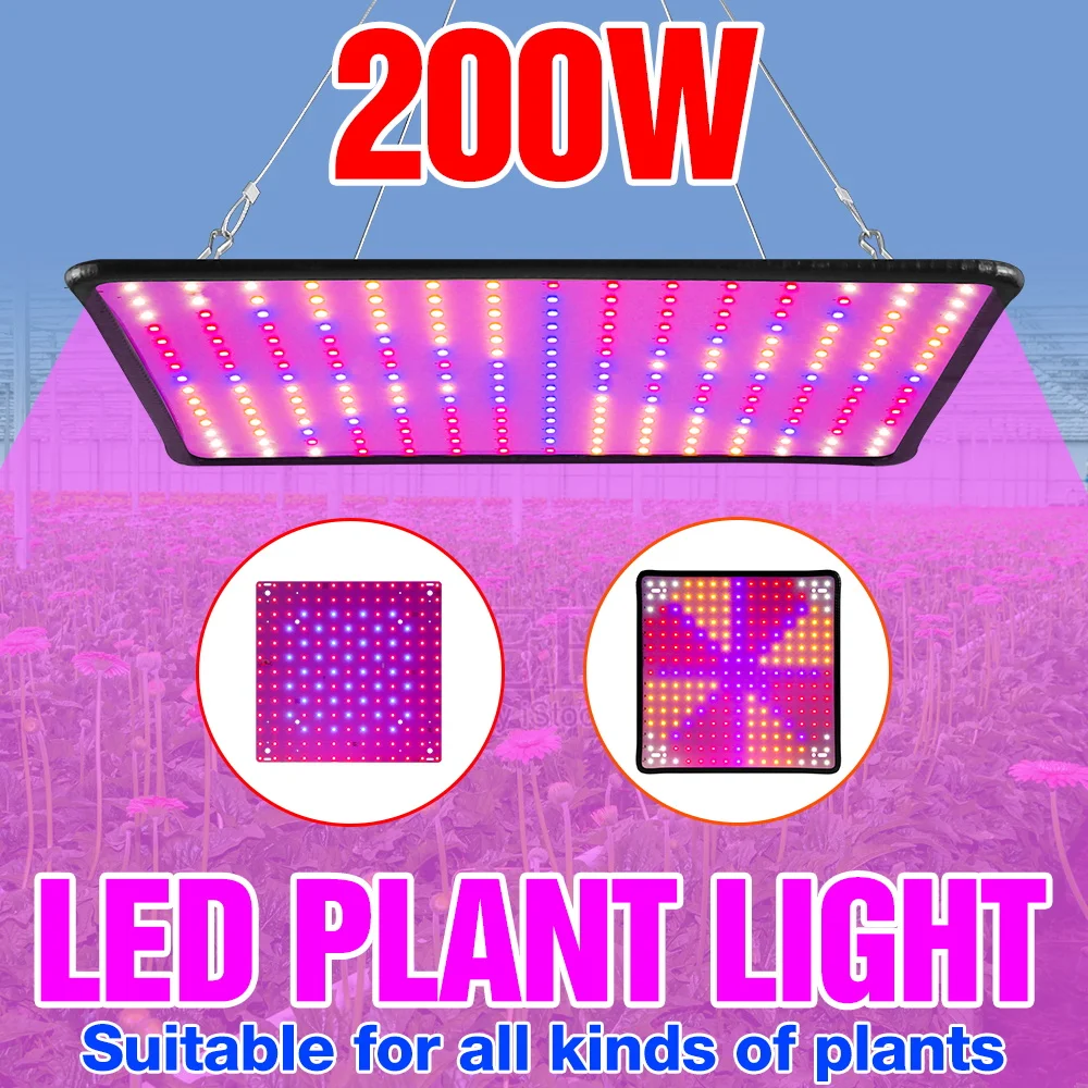 200W LED Quantum Board Plant Grow Light Full Spectrum Hydroponics Fill Lamp Greenhouse Tent Vegs Flower Cultivation Lighting
200W LED Quantum Board Plant Grow Light Full Spectrum Hydroponics Fill Lamp Greenhouse Tent Vegs Flower Cultivation Lighting