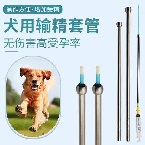 Canine vas deferens, deferens guide tube, stainless steel deferens, fox deferens cannula
Canine vas deferens, deferens guide tube, stainless steel deferens, fox deferens cannula