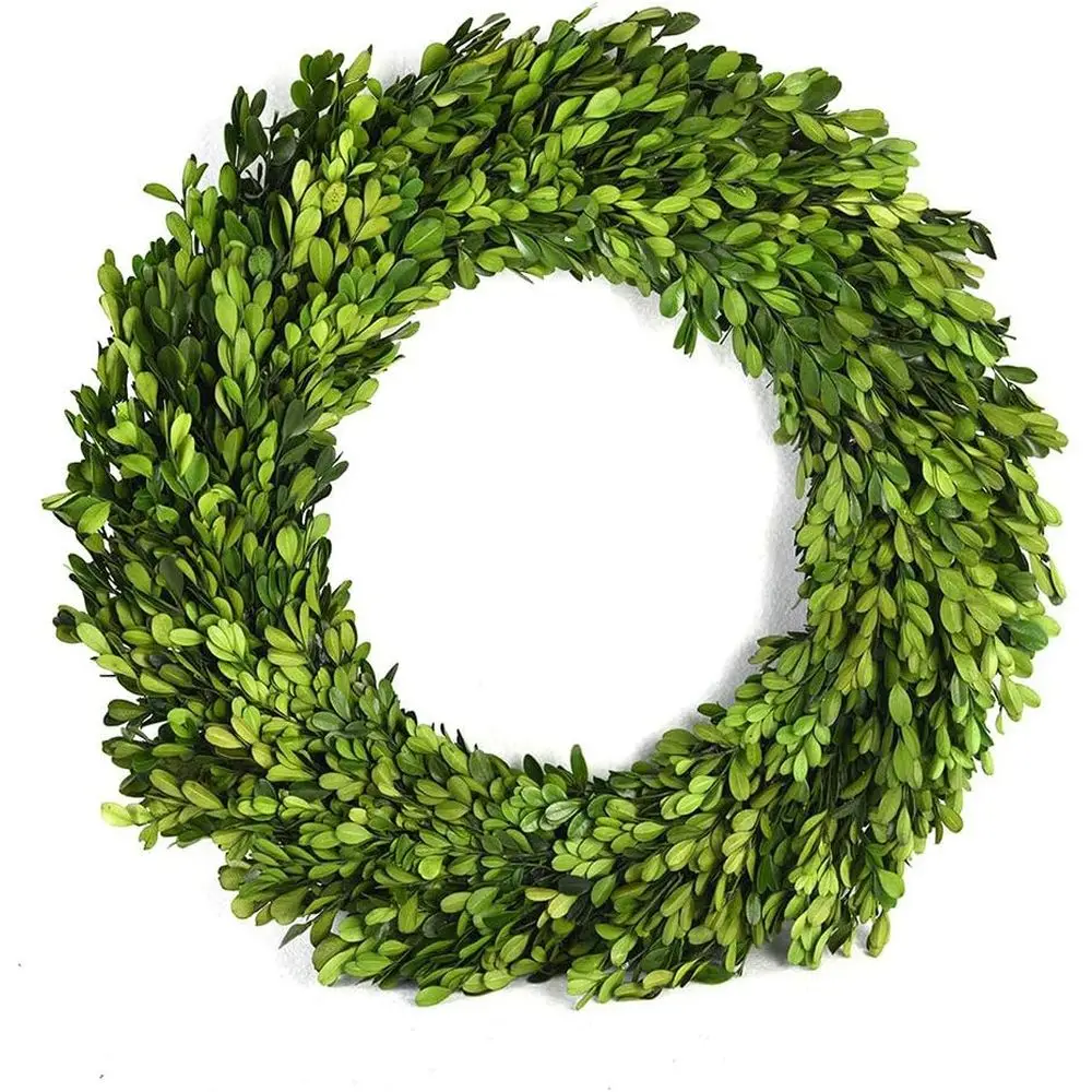 16 Evergreen Boxwood Wreath for All-Season Home Decor, Perfect for Halloween, Christmas, and Weddings
16 Evergreen Boxwood Wreath for All-Season Home Decor, Perfect for Halloween, Christmas, and Weddings