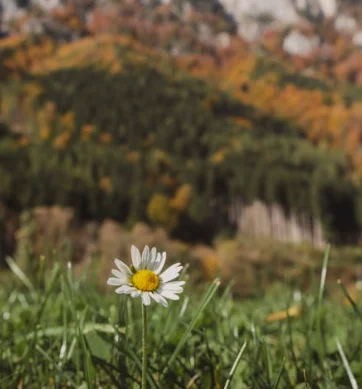 Устройство для частотной терапии Tera Hertz, терагерцовая клетка, энергетический инструмент, нагревательная терапия, массаж ног, здравоохранение, реабилитация, новинка 
Устройство для частотной терапии Tera Hertz, терагерцовая клетка, энергетический инструмент, нагревательная терапия, массаж ног, здравоохранение, реабилитация, новинка