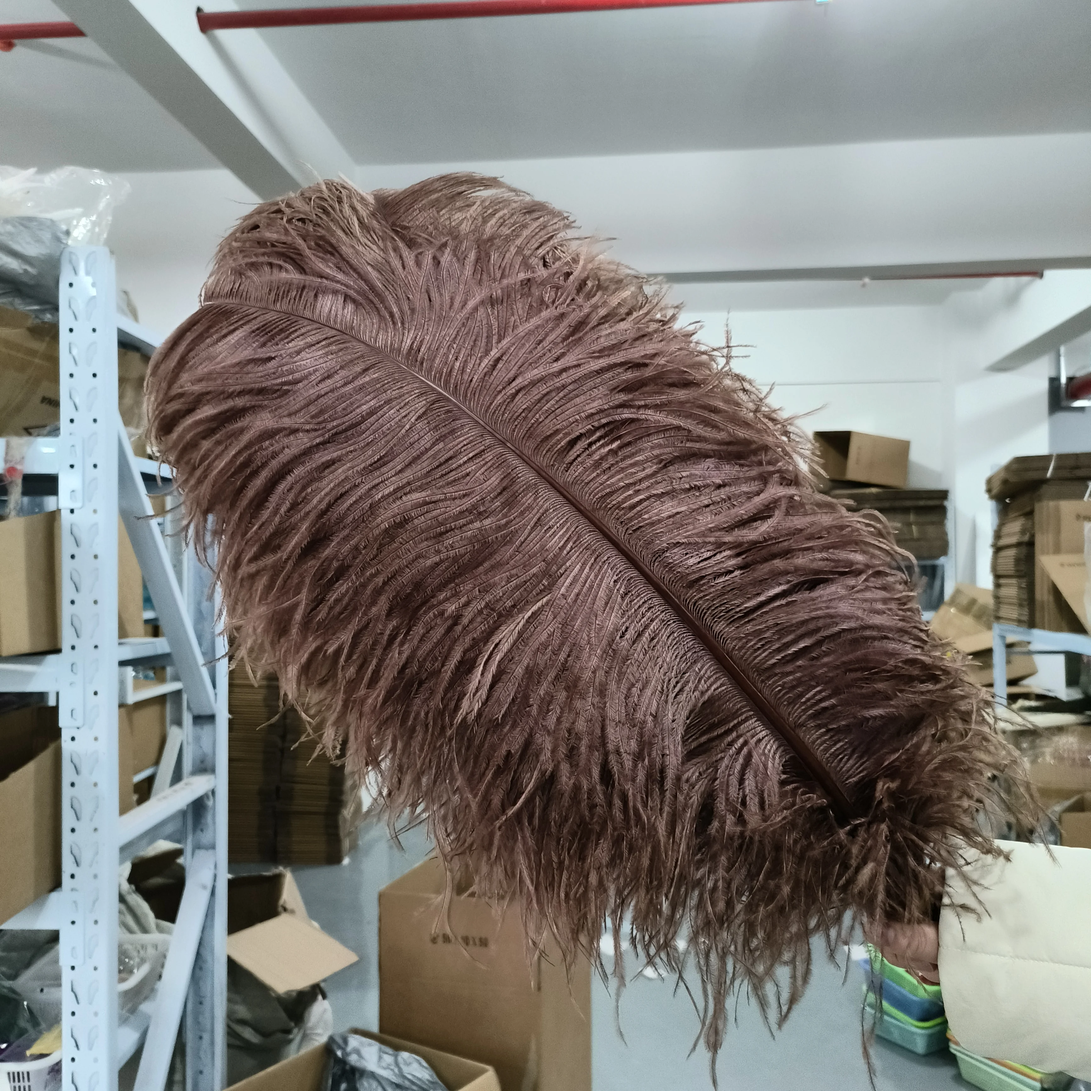 Premium Quality Real Ostrich Feather 65-70cm Natural Fluffy Soft Plumes for Wedding Dress DIY Boa Costume Party Decor Crafts
Premium Quality Real Ostrich Feather 65-70cm Natural Fluffy Soft Plumes for Wedding Dress DIY Boa Costume Party Decor Crafts