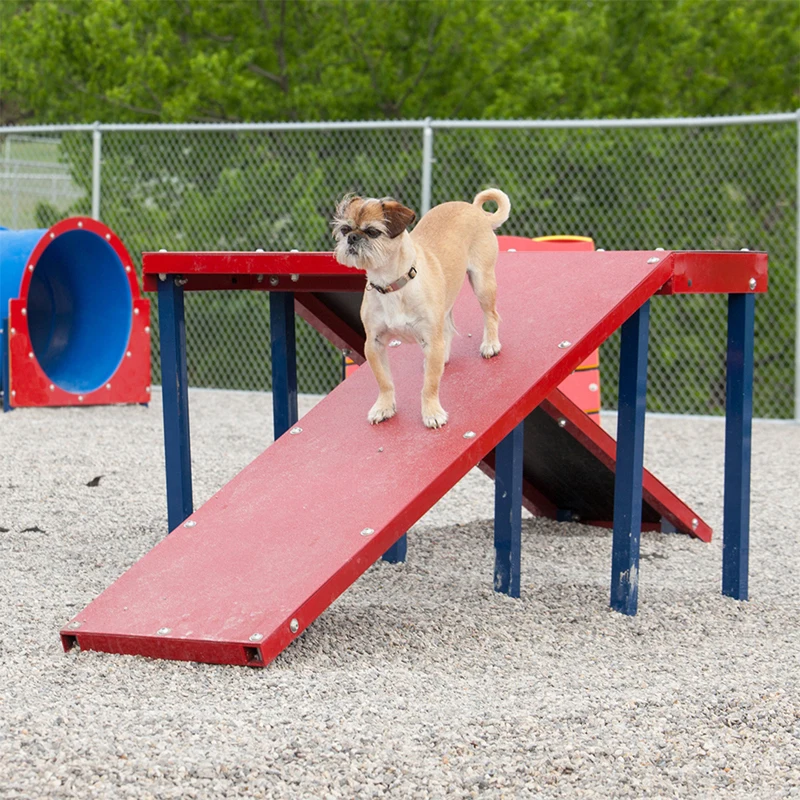 Heavy Aluminum Non-Slip Dog Agility Walking Ramp Factory Custom for Dog Training
Heavy Aluminum Non-Slip Dog Agility Walking Ramp Factory Custom for Dog Training