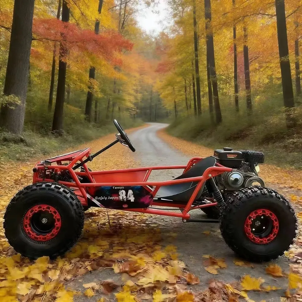 New design 212cc adjustable seat with reverse gear and headlights, top speed 70km/h, fuel kart drift car on sale
New design 212cc adjustable seat with reverse gear and headlights, top speed 70km/h, fuel kart drift car on sale