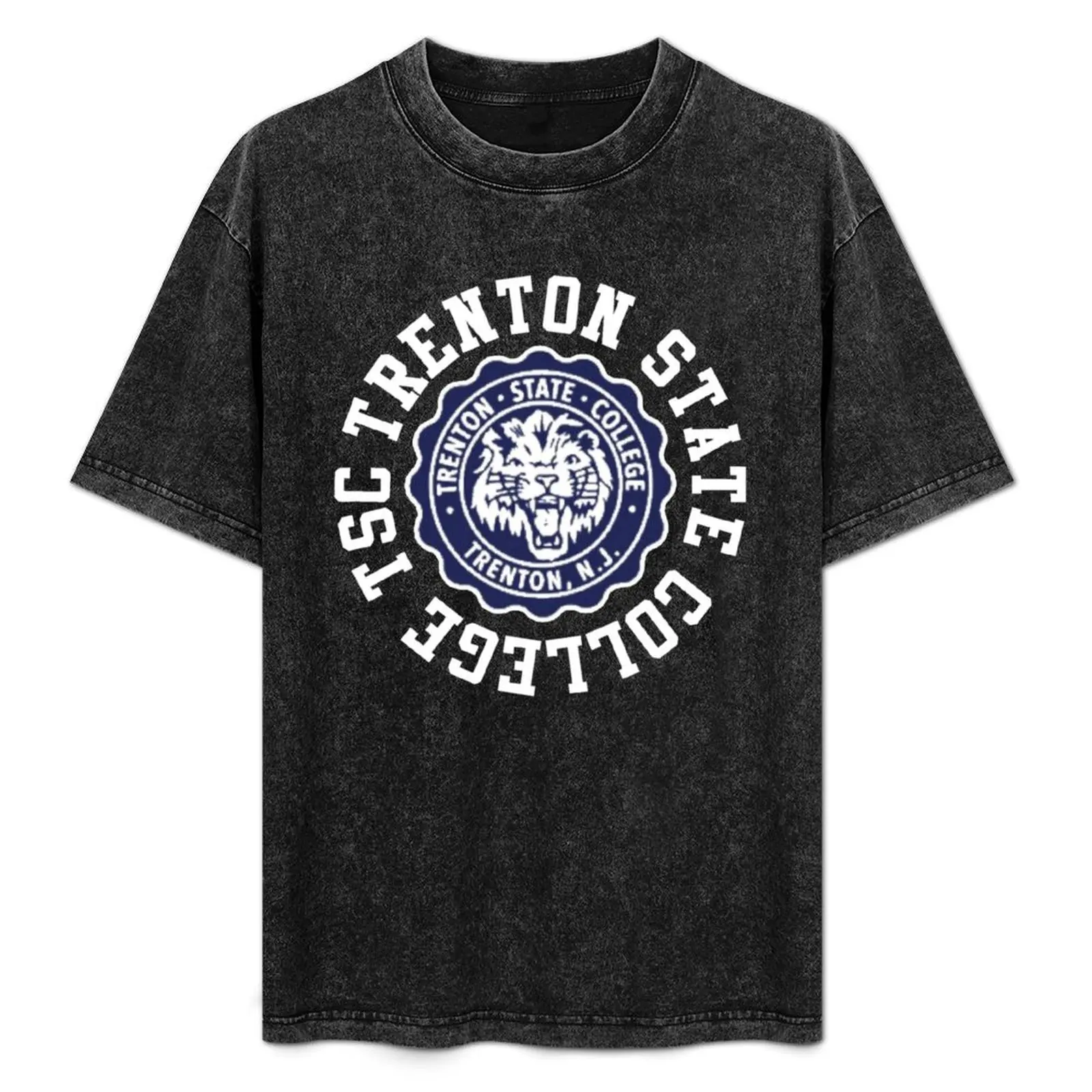 Vintage Tsc Trenton State T-Shirt man t shirt anime t shirts mens graphic t-shirts pack
Vintage Tsc Trenton State T-Shirt man t shirt anime t shirts mens graphic t-shirts pack