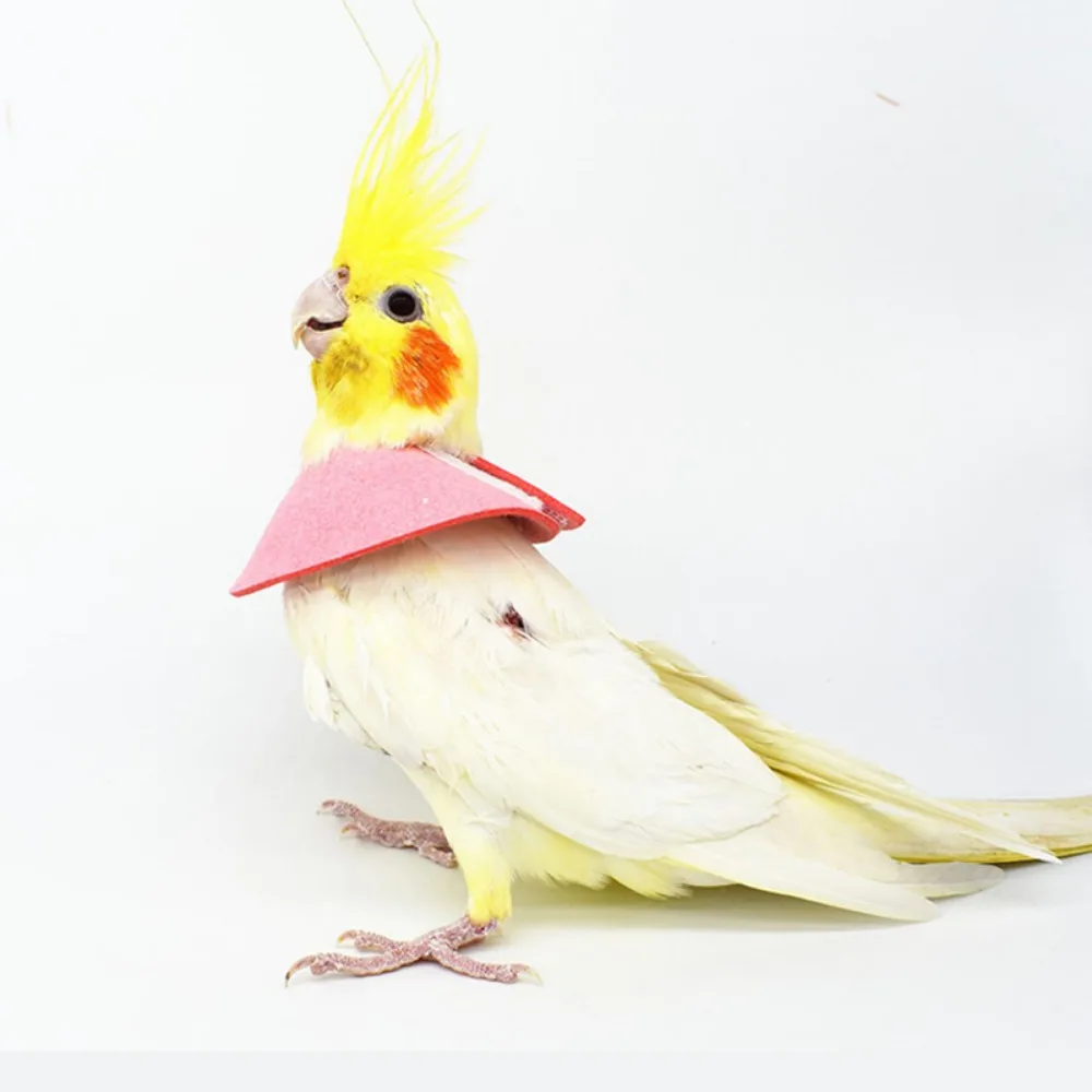 Accessories Anti-peckin for Bird Neck Protective Bird Cloak Bird Neck Sleeve Parrot Elizabethan Circle Bird Recovery Collar
Accessories Anti-peckin for Bird Neck Protective Bird Cloak Bird Neck Sleeve Parrot Elizabethan Circle Bird Recovery Collar