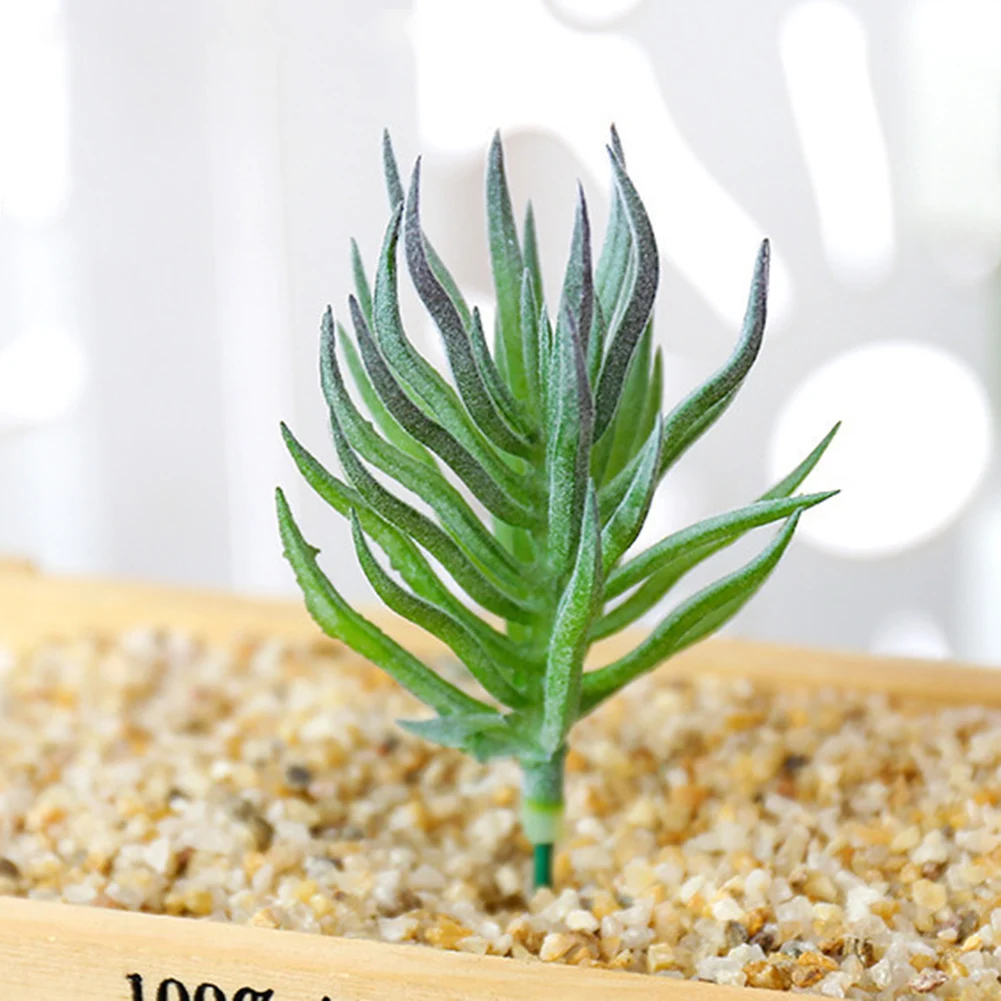 Artificial Cactus Simulated Succulent Flocking Green Home Plant Flower Head Plant Wall Accessories DIY Supplies
Artificial Cactus Simulated Succulent Flocking Green Home Plant Flower Head Plant Wall Accessories DIY Supplies