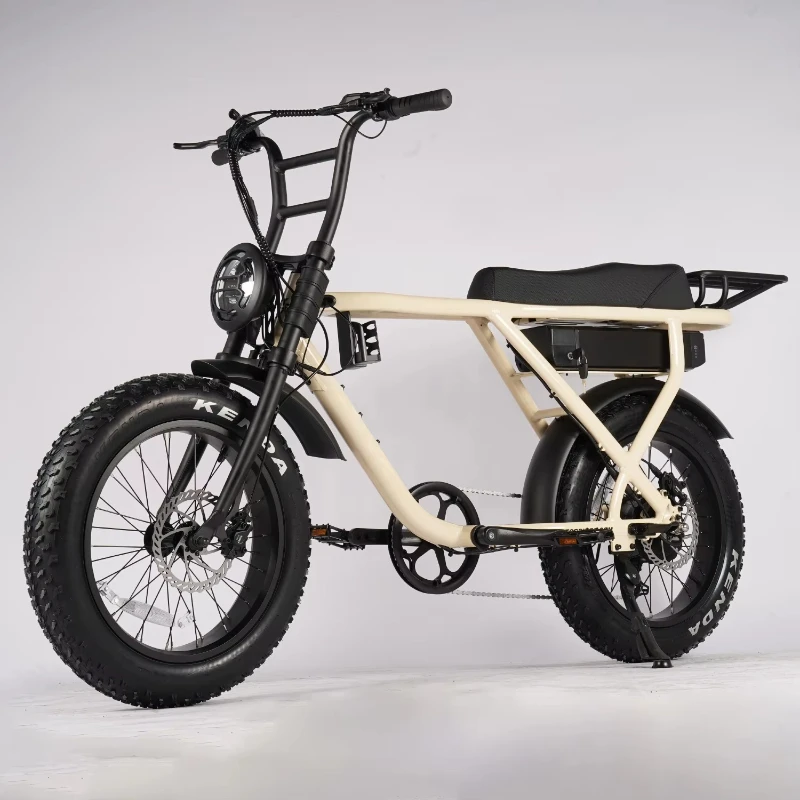 1000 Watt Front Suspension Electric Fat Tire Bike 20 Inch Mountain Beach Hybrid Electric Bike Adult Removable Battery
1000 Watt Front Suspension Electric Fat Tire Bike 20 Inch Mountain Beach Hybrid Electric Bike Adult Removable Battery