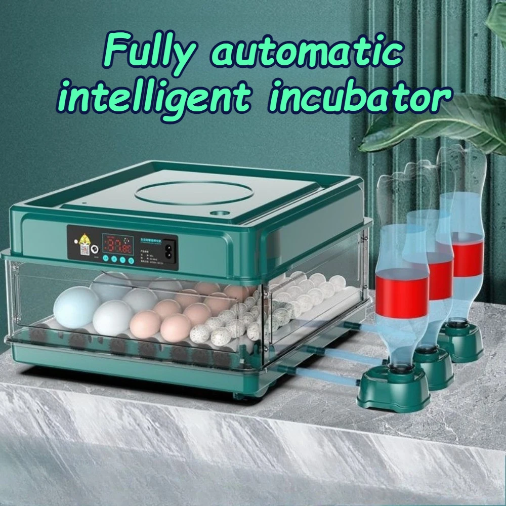 Intelligent Egg Incubator Automatic Egg Flipping Hydration Temperature Control Goose/duck/quail/pigeon Eggs Breeding Incubators
Intelligent Egg Incubator Automatic Egg Flipping Hydration Temperature Control Goose/duck/quail/pigeon Eggs Breeding Incubators