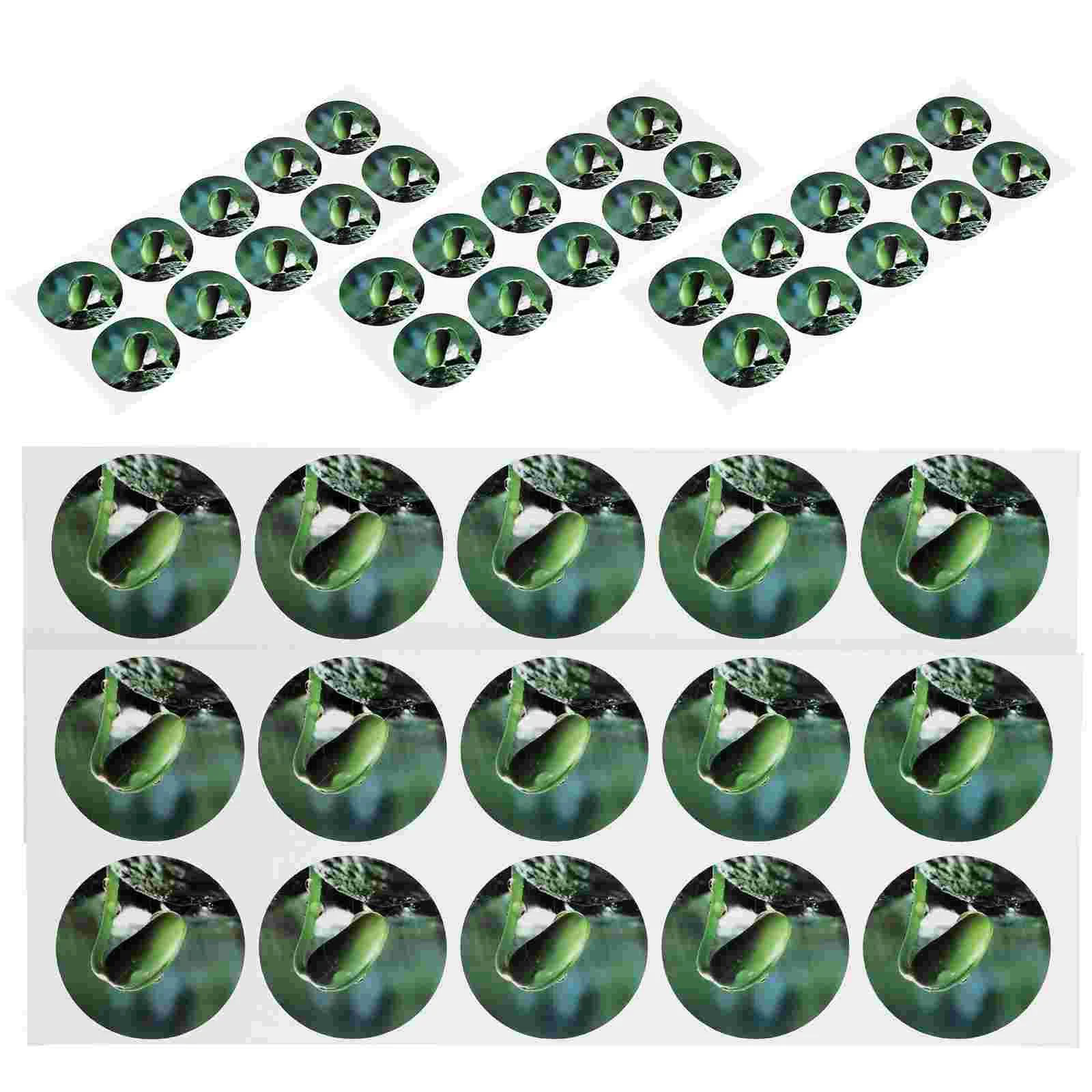 5 Sheets Self-adhesive Label Plant Markers for Seedlings Plants Sticker Hydroponic Pot Stickers Indoor Pots
5 Sheets Self-adhesive Label Plant Markers for Seedlings Plants Sticker Hydroponic Pot Stickers Indoor Pots