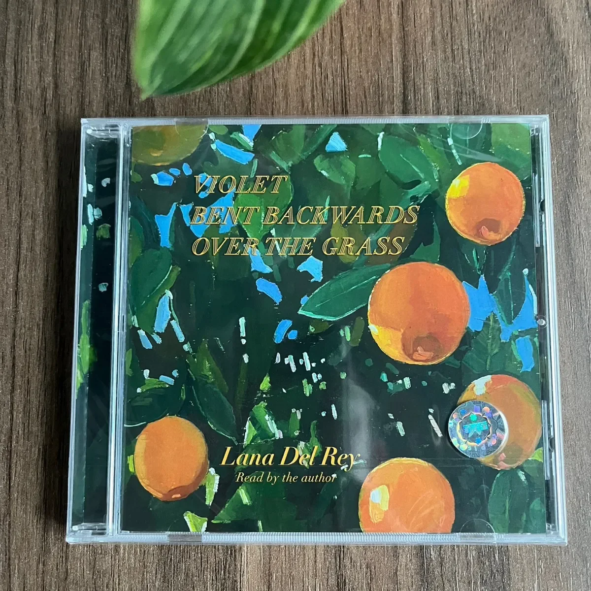 Pop Lana Del Rey Music CD Violet Bent Backwards Over the Grass Album Music Record Cosplay Walkman Car Soundtrack Box Party Music
Pop Lana Del Rey Music CD Violet Bent Backwards Over the Grass Album Music Record Cosplay Walkman Car Soundtrack Box Party Music