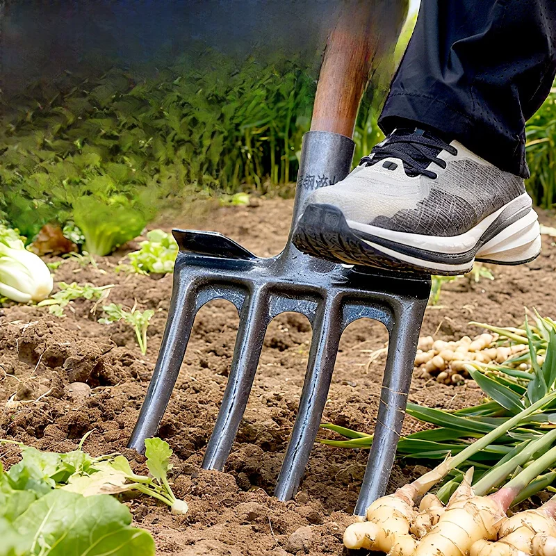 Deep Tilling Fork Garden Tool Four Teeth Steel Spike for Planting Vegetables Earth Digging Tool und Preparation Equipment
Deep Tilling Fork Garden Tool Four Teeth Steel Spike for Planting Vegetables Earth Digging Tool und Preparation Equipment
