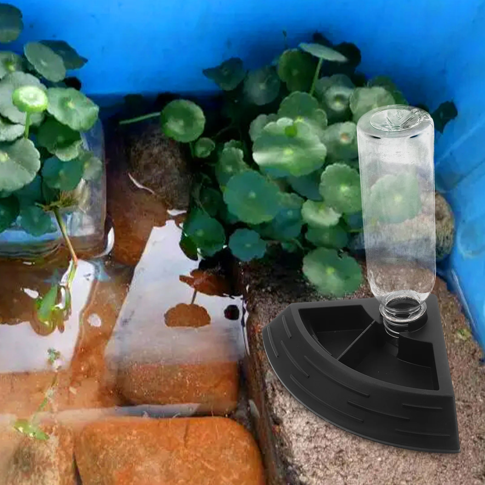 Reptile Pet Automatic Feeder Lizard Tank Accessories Turtle Gecko Feeding Bowl Black Drinking Bowl Reptile Water Dish Safe
Reptile Pet Automatic Feeder Lizard Tank Accessories Turtle Gecko Feeding Bowl Black Drinking Bowl Reptile Water Dish Safe