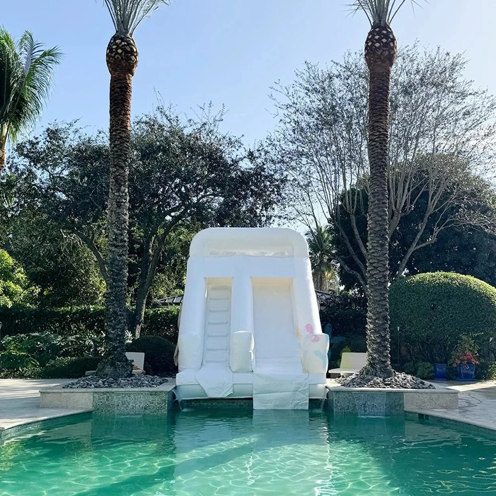 Inflatable Slide Castle All In One Bounce House Detachable Ball Pit Wet Dry Use For Backyard Party Heavy Duty Bouncer New
Inflatable Slide Castle All In One Bounce House Detachable Ball Pit Wet Dry Use For Backyard Party Heavy Duty Bouncer New