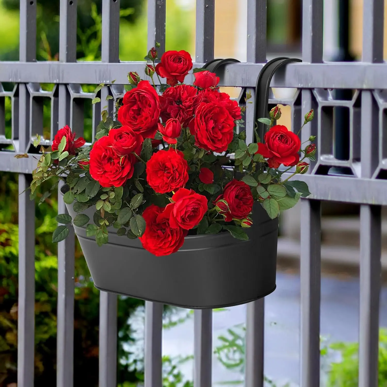 5 Pcs 13.7 Inch Black Iron Hanging Planters Metal Bucket Pots for Outdoor Balcony Railing Herb Succulent Plants
5 Pcs 13.7 Inch Black Iron Hanging Planters Metal Bucket Pots for Outdoor Balcony Railing Herb Succulent Plants