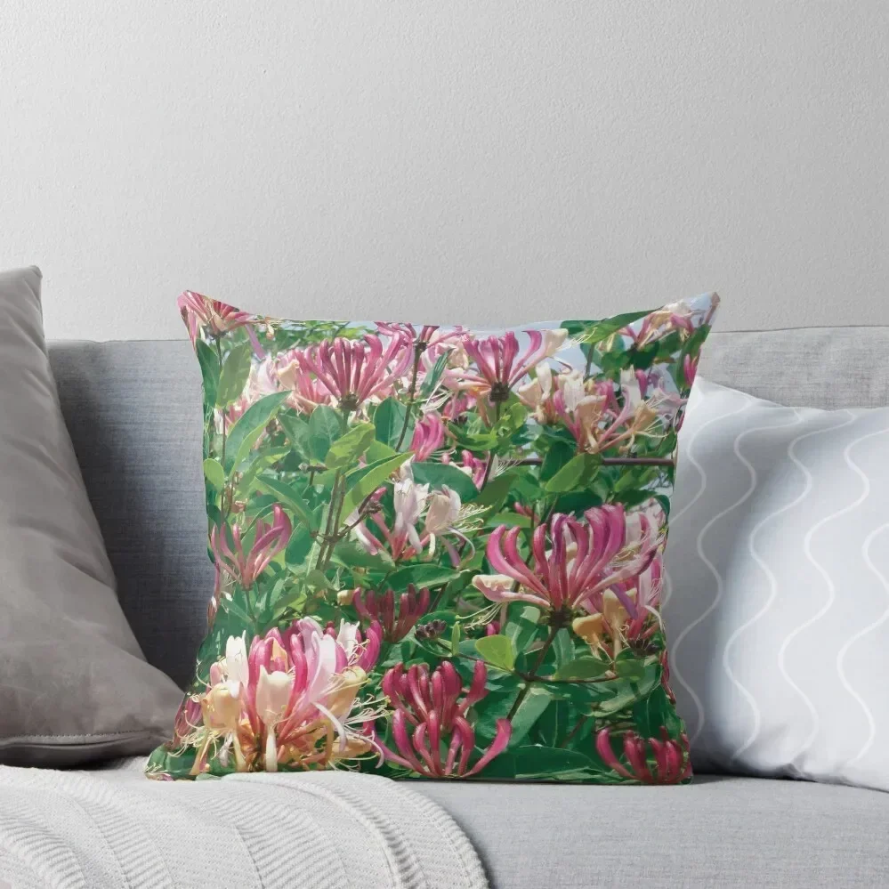 Honeysuckle flowers Throw Pillow pillowcases for sofa cushions Decorative pillow case pillow
Honeysuckle flowers Throw Pillow pillowcases for sofa cushions Decorative pillow case pillow